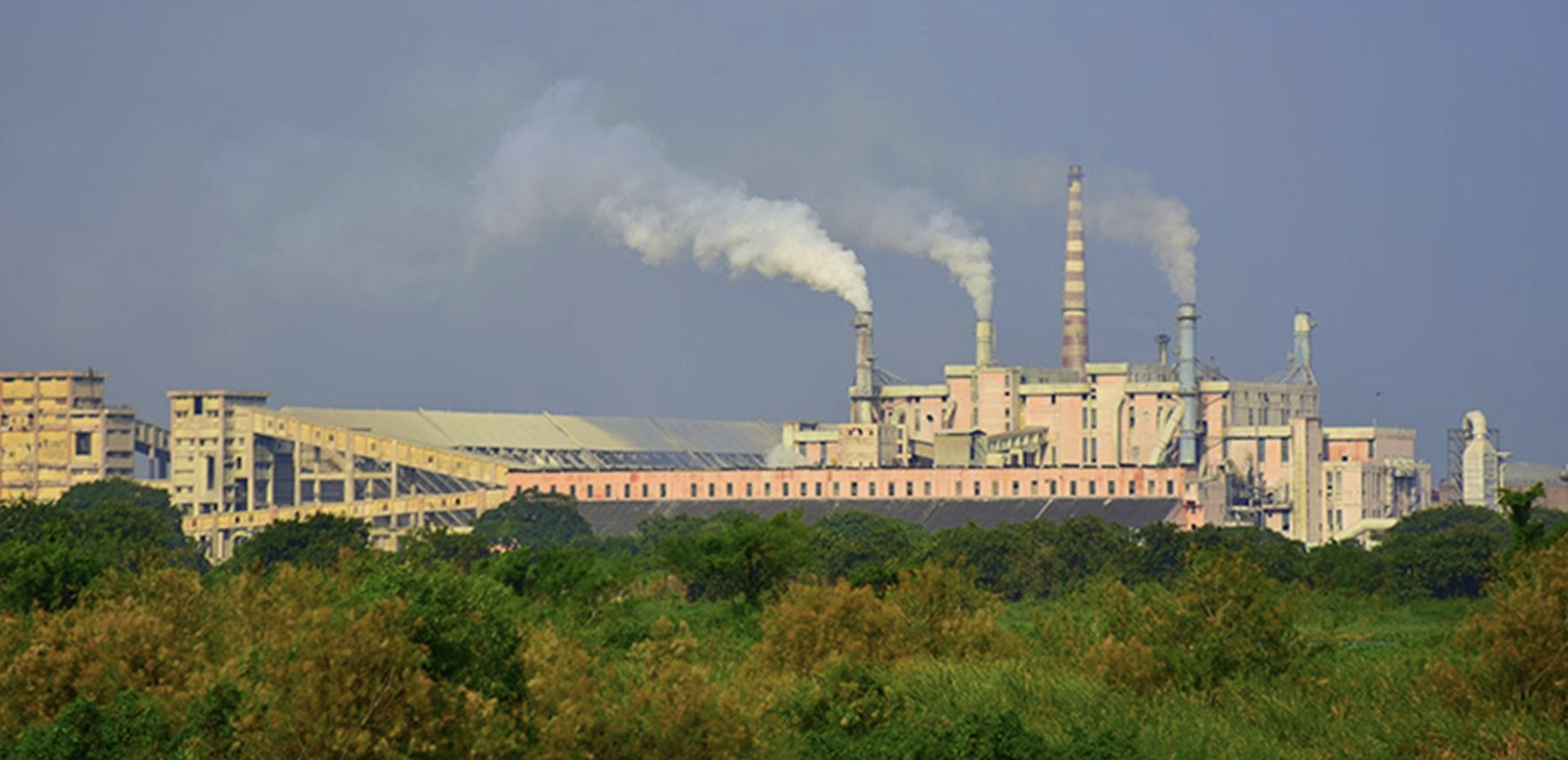 Paradeep Phosphates Limited : Know the Company