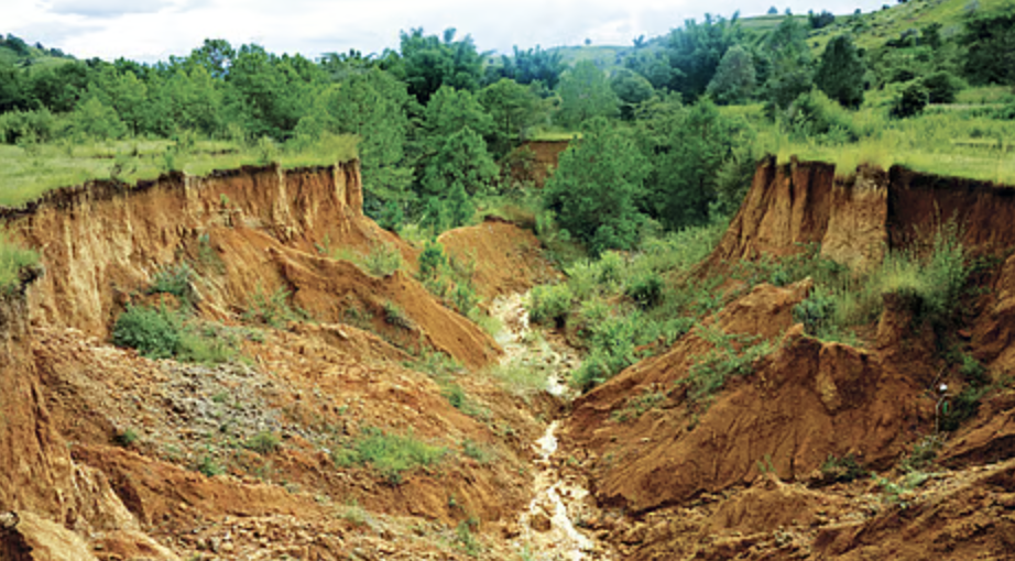 How to Understand Land Erosion’s Impact on Ecosystems