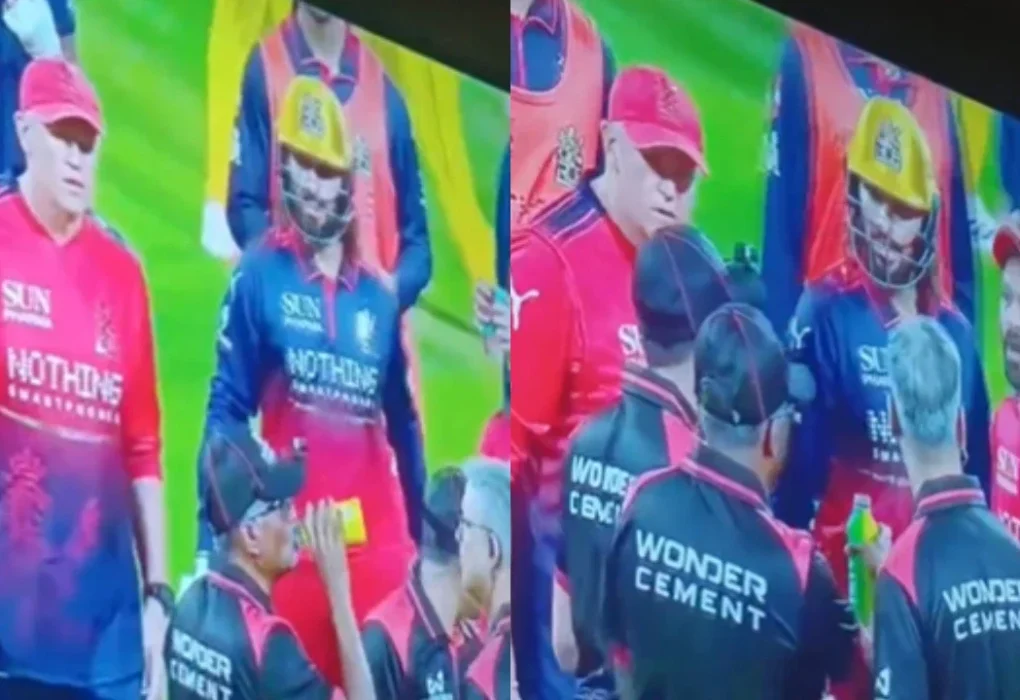 Wild scene! Silver Patidar Russia